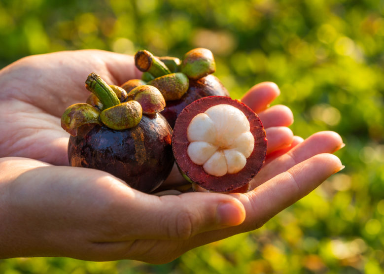 manger Garcinia Cambogia